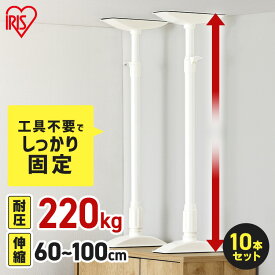 家具転倒防止 突っ張り棒 アイリスオーヤマ 家具転倒防止伸縮棒 Lサイズ 10本セット 伸縮幅 60〜100cm 耐圧220kg 家具 固定 防災 災害 地震対策 防災用品 工具不要 つっぱり棒 家具転倒防止グッズ 転倒防止器具 KTB-60R *