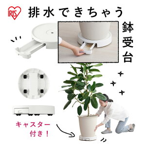 u LX^[t 10  Aؔ u LX^[t rg[t vg[o[ Aؔg[ M v^[ v^[X^h t[X^h ϗtA 