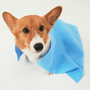 zybgp^ILTCY@CKT-L@Vv[ACyACXI[}z610