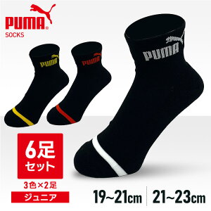 C v[} PUMA \bNX jɂ wZ XN[ LbY Y j PUMA6ZbgXj[J[\bNX V[g NbVpC q WjA NbV ubN  4293719 21-23