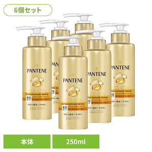 【6個セット】ヘアケア ボディケア ヘアケア パンテーン エクストラダメージリペア インテンシブヴィタミルク 特大サイズ パンテーン P&G エクストラダメージリペア 洗い流さないトリート
