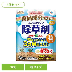  A[X K[fpi ̑R ^Cv 3kg×4Zbg A[XK[f EARTH [₭ Hi e   t[c̍ G _