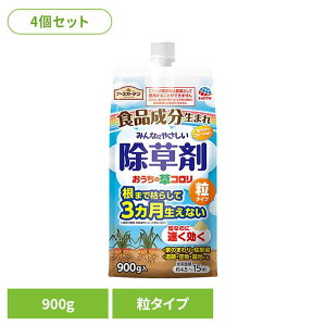  A[X K[fpi ̑R ^Cv 900g×4Zbg A[XK[f EARTH [₭ Hi   t[c̍ G _