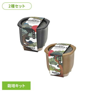 y2ZbgzThe BONSAI ͔|ZbgiEԏj ͔|Lbg ͔|Zbg  ԏ V| SEISHIN  Mtg