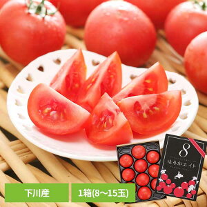���쒬�Y�t���[�c�g�}�g1���i8�`15�ʁj �g�}�g �k�C�� �Y�n���� �{ �t���[�c ��� �M�t�g ���x �yTD�z �y����s�z