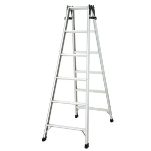 [{SiP5{]͂pr Vo[ RC2.0-18 r ͂ Vg[ q y Hasegawa pr RC 6 JHƊ