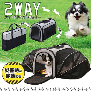 ybgL[ 2WAYAEghAybgL[ ubN PC-S004 L BKybgL[ L  L[obO obO V_[ T[N P[W ybg h  L o ʉ@ 䕗΍ 䕗