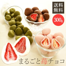 チョコレート イチゴチョコ まるごといちごチョコ ホワイトチョコがけ 300g 6001いちご チョコ いちごトリュフ いちご まるごと スイーツ ストロベリー フリーズドライ フルーツチョコ フルーツ まとめ買い 大容量 ホワイトチョコ【D】