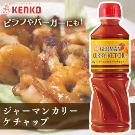 ジャーマンカリーケチャップ カレー ケチャップ スパイシー ポテト ソーセージ 卵料理 チーズ じゃがいも 調味料 フルーティ ケンコーマヨネーズ 【D】