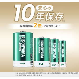 BIGCAPA basic{ P1`AJdr4{pbN LR20Bbp/4S dr AJdr P1 P1` P P` dr obe[ 4{ ACXI[}