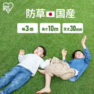 lH A h ACXI[} 3m×10m ŏ30mmlH Ő  ȒP x_ hV[g G eX ybg lHŐ G΍ 3m { Y B hJr i ŏ3cm eiXt