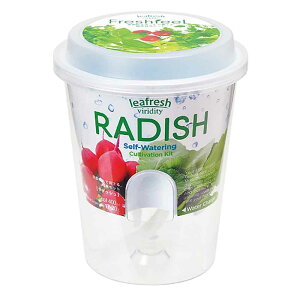 �t���b�V���t�B�[�� GD-81901 GD-81902 GD-81903 GD-81904 GD-81906�͔|�L�b�g �͔|�Z�b�g ���k�͔| ���V���| SEISHIN �T���_ �~�j�؉� �����|�b�g ���f�B�b�V�� �T���_�z�E�����\�E ���^�X �x�r�[���[�t�~