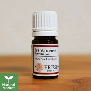 y|Cg11{ztbV FRESH GbZVIC tLZX 5mL  A}IC A}fBt[U[