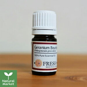 y|Cg11{ztbV FRESH GbZVIC [jEEu{ 5mL  A}IC A}fBt[U[