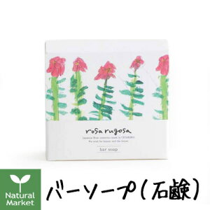 yTvt|Cg10{zTST o[\[viΌj100g TESTyrosa rugosazykC z 3980`9799~͎̂LZz