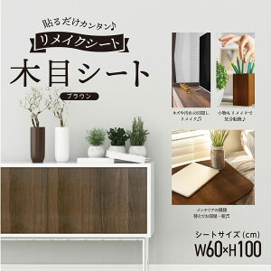 yIׂ2Fz2Zbg ؖڃV[60cm×100cm×2 h sv dグȒP p IVR