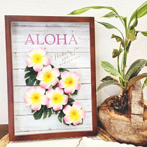 nCAA[g{[h@vAfRt[@CeA@A[g@Ǌ|@nC@nCAG݁@nCAeCXg