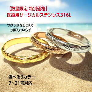 yʉi T[WJXeX316L ʌ葁ҏ nCAWG[ Oz nCAWG[ O nW O w vA zk XeX AM[t