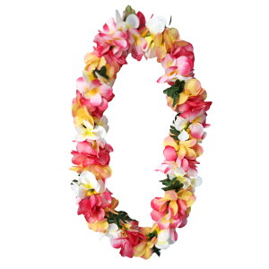 ynCACznCAC@C@ԏ@HAWAII@t_X@t@ߑ@nCAG