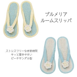 ySALEi1.320990 vA [Xbpz Xbp vA Ch An nC nCAG