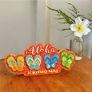 ynCAIKC HAWAII nCAe[uTCz CeA Ǌ|  nCA KCHAWAII nCA^C nC nCAG