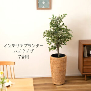 y[J[ szyCeAv^[ nC^Cv 7pz v^[  AWA ϗtA Vv EH[^[qVX G CeA  uE F ҂ 