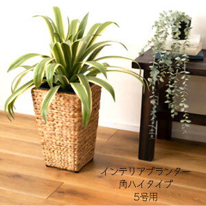 y[J[ szyCeAv^[ pnC^Cv 5pz v^[  AWA ϗtA Vv EH[^[qVX G CeA  uE F ҂