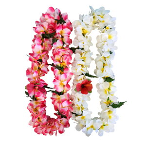 ynCACznCAC@C@ԏ@HAWAII@t_X@t@ߑ@nCAG