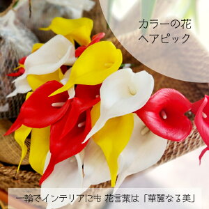 yJ[ wAsbNz@wAANZT[@CeA@nCAG݁@t_X@@ߑ