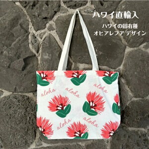 ynCA LoXCh g[gobO IqAtAz g[g g[gobO IqAtA An nCAG }CobO