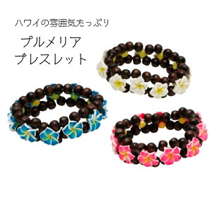 yvA uXbgz uXbg vA Ebh 썑 nC HAWAII ANZT[ wAS fB[X nCAG