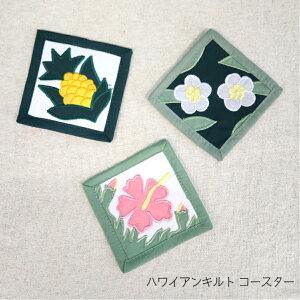 ynCA nCALg R[X^[zR[X^[ nCALg Lb`G pCibv vA nCrXJX nCAG Hawaii