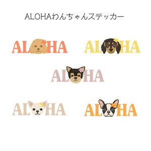 yALOHA 񂿂XebJ[z XebJ[@@V[@h@nC@nCAG