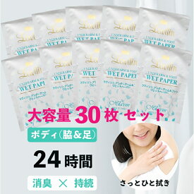【送料無料】24時間消臭ラヴィリンアンダーアーム＆フットウェットペーパー30枚セット