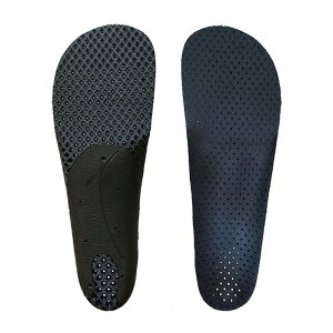 zVm C\[ [ B+LDm Long Distance mesh @4400] Hoshino insole yK㗝Xiz