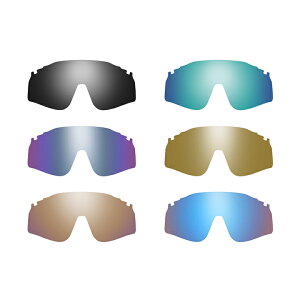 SMITH SUNGLASS SPARE Y [ DEFY Lens@CP @14000] CP Sunglass X~X TOX yK㗝Xiz