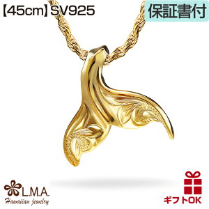 nCAWG[ lbNX y`F[tz zG[eC zG[e[ zGCe[ Vo[925 CG[S[h  NW ~ g vA Y fB[X v[