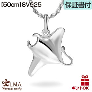 y{P5+N[|LznCAWG[ lbNX y`F[tz Vo[925 | }^ C̐ j g vA Y fB[X v[g a LOyz 