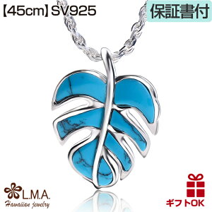 nCAWG[ lbNX y_ggbv y`F[tz Vo[925 WE ^[RCY p[Xg[ Xe t A vA g Y fB[X v[g a