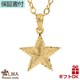 ハワイアンジュエリー ネックレス ステンレス 316L 星 スター 波柄 NALU サージカルステンレス アレルギー シルバー 24金ゴールド ピンクゴールド色 ギフト プレゼント 送料無料 レディース メンズ ペンダント トップ ヘッド ギフト カップル ギフト lmaハワイ