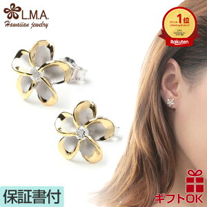 yP3+N[|LznCAWG[ sAX Vo[925 CG[S[h WE R[eBO NA WRjA | vA  t[ g fB[X nW CO 