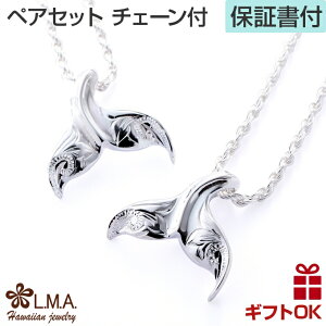 nCAWG[ lbNX yA `F[t zG[eC zG[e[ zGCe[ NW  ~ tBbVtbN g }C Vo[925 fB[X nCA 