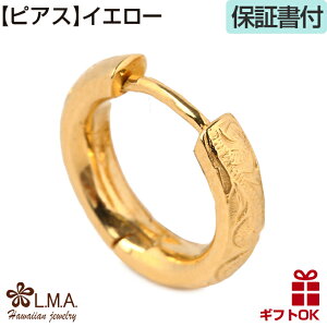 yP3+N[|LznCAWG[ sAX yЎpz t[v O ~` yIׂ3Fz  fB[X Y yA T[WJ XeX 316 Vo[ CG[S[h 24 