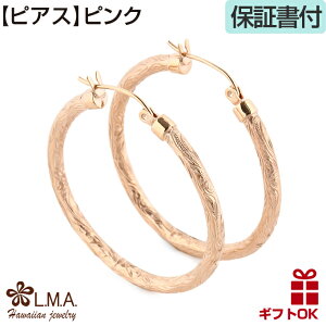 yƎP5+N[|LznCAWG[ sAX t[v t[vsAX OsAX T[WJ XeX 316 Vo[ sNS[h 24 yIׂ3F z vA g AM