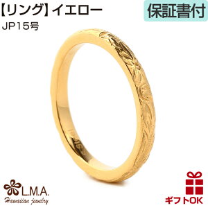 yP3+N[|LznCAWG[ O w yAO Iׂ3F 2~|yA T[WJ Vo[ CG[S[h 24 sNS[h vA g AM[ v[