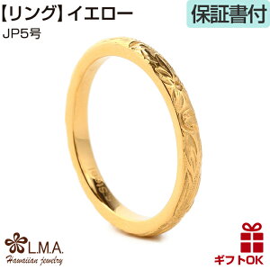 y24P10+N[|LznCAWG[ O w yAO Iׂ3F 2~|yA T[WJ Vo[ CG[S[h 24 sNS[h vA g AM[ v