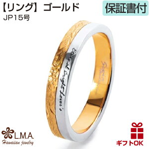 y24P10+N[|LzXeX nCAWG[ O w Y fB[X yA T[WJXeX 316L }C[t S[h Vo[ sNS[h K^bN 