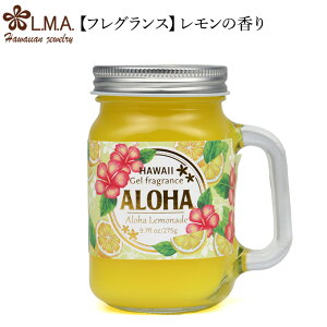 yp3+N[|LznCA F CeA nCAG [tOX fBt[U[ tOX p WF r  nC G An r[` } nCA