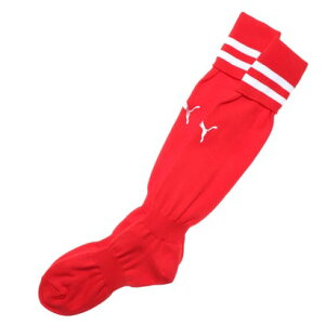 v[} PUMA Y TbJ[/tbgT XgbLO CC XgbLO 729881