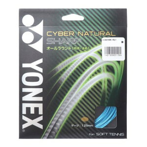 lbNX YONEX ejX XgO TCo[i` V[v \jbNu[ CSG550SP